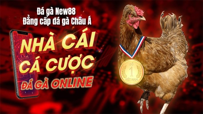 Đá gà trực tiếp thomo hôm nay 8xbet