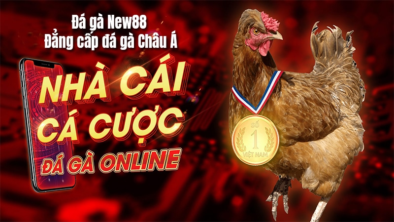 Đá gà trực tiếp thomo hôm nay 8xbet